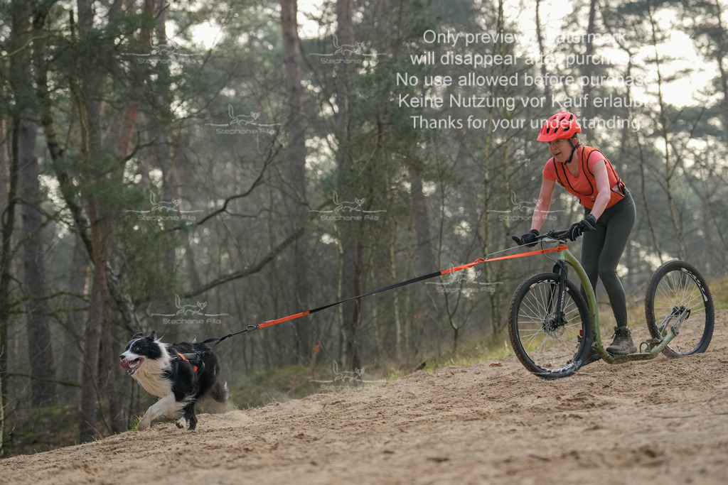 Scooter1-194 | stephaniefillaphotographie - Realisiert mit Pictrs.com