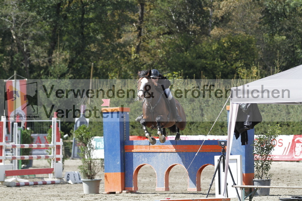 _MG_6556 | equestrian-live-com