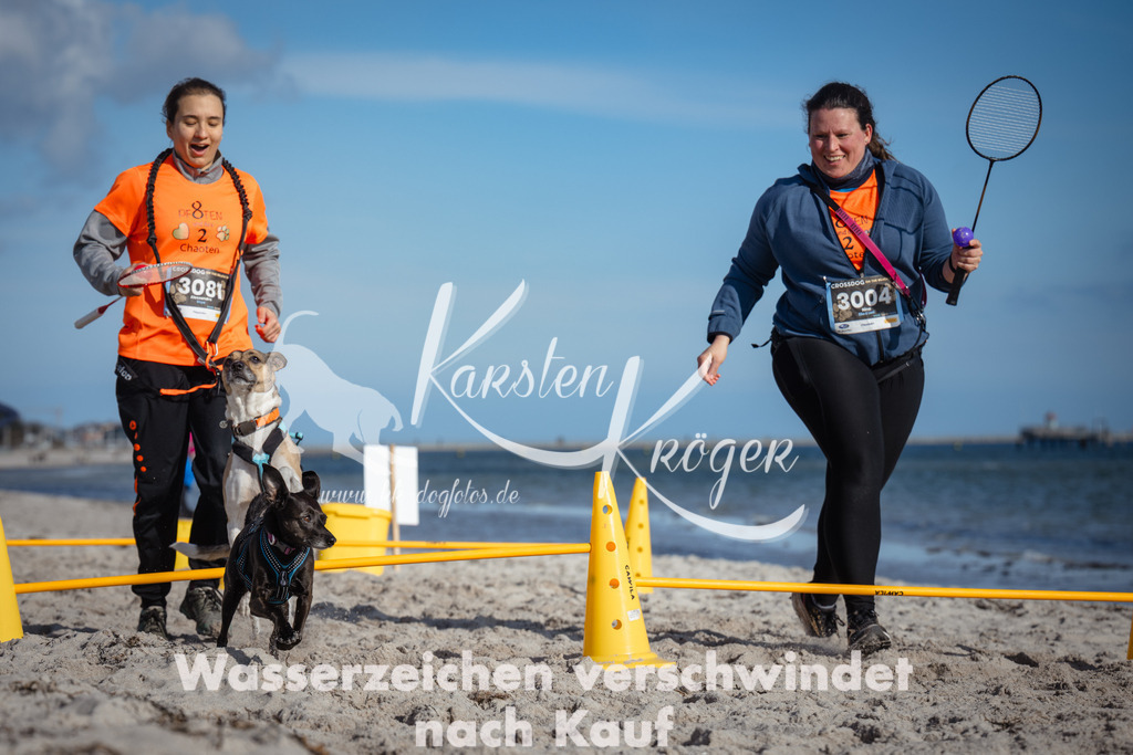1339_ZZ92439 | kk-dogfotos
