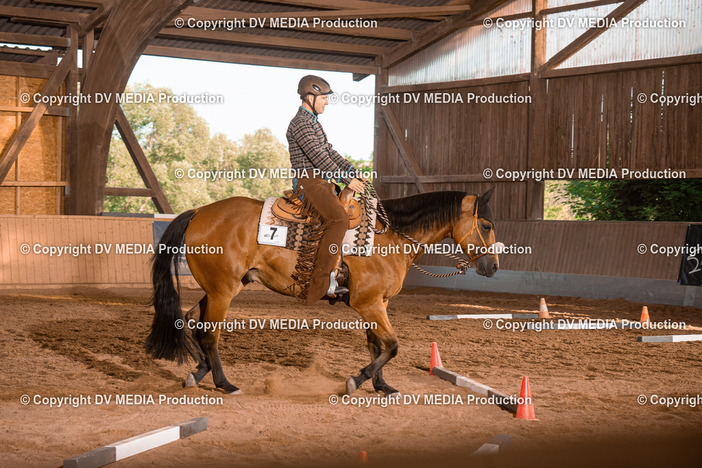 NE101260 | dv-media-shop - Realisiert mit Pictrs.com