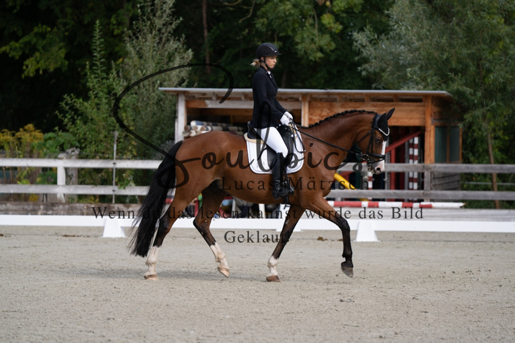 A7V06811 | Turnier/Reitfotograf