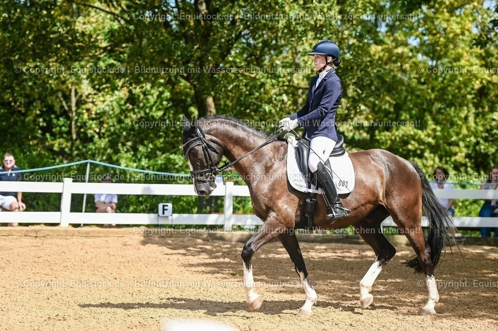 20230715_02_Dressurreiterprüfung Kl.L_0304 | equistock