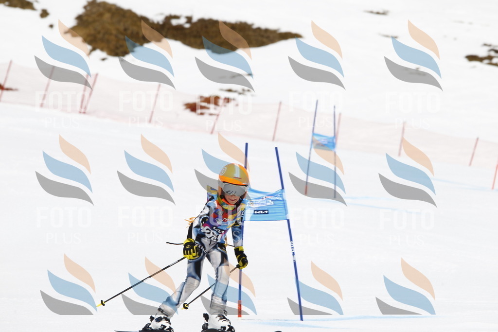 _U3G6863 | holidayphoto