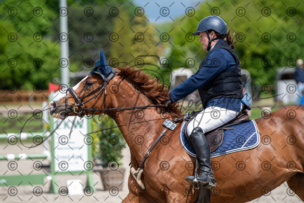 KPT_5564 | andre_photographic