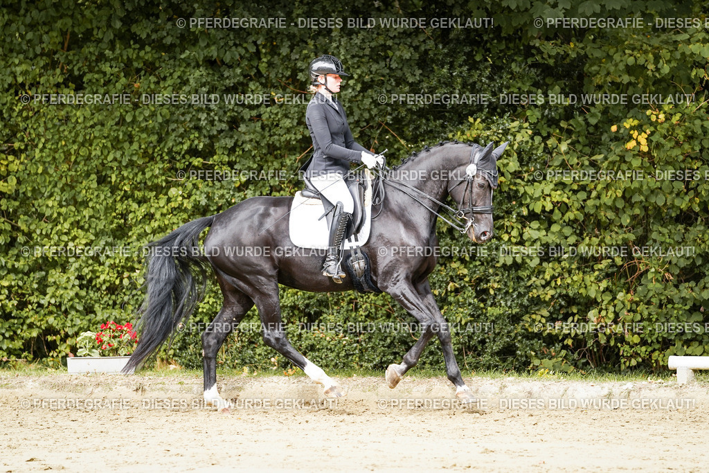 DSC03379 | Pferdegrafie