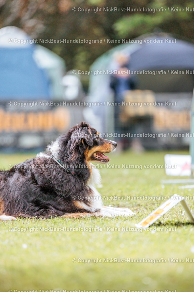 RO-Blumenthal-2026-Nickbest-Hundefotografie-2226 | Dein Hund! Dein Moment! Deine Erinnerungen! Hundefotografie in Bremen Blumenthal. Ich fange die besonderen Momente deines Vierbeiners ein – ob Indoor mit Blitzanlage oder in der freien Natur. Sicher dir dein Moment und dein Termin für eure Erinnerungen.