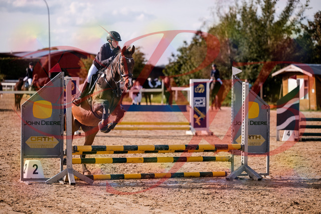 2026_10_03_Siefer-Hof_155927_Z81_79291995 | Professionelle Reitsport-, Turnier- und Eventfotografie von Robert Broda. Galerien mit ausgewählten und bearbeiteten Bildern direkt online ansehen und bestellen.