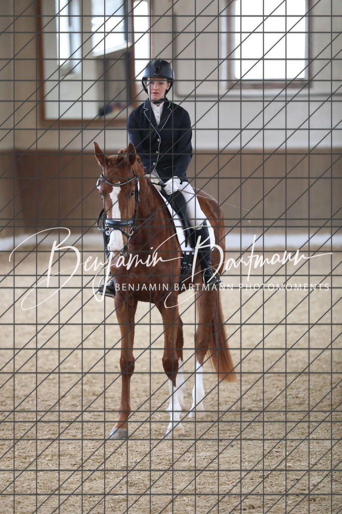 AZ2A0036 | Benjamin Bartmann Photomoments