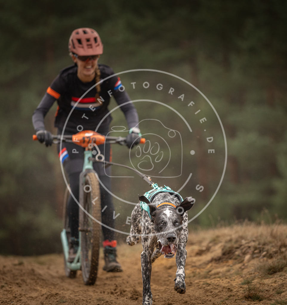 Pfotenfotografie_DV3A4478 | Hundefotografie, Tierfotograf, Pfotenfotografie, Fotoshooting Hund, Hunde Portrait, Hundesport, Hundeportraits, Heideshooting, Hunde, Sportfotograf, Hundefotograf, Turnierhundsport, THS,  - Realisiert mit Pictrs.com