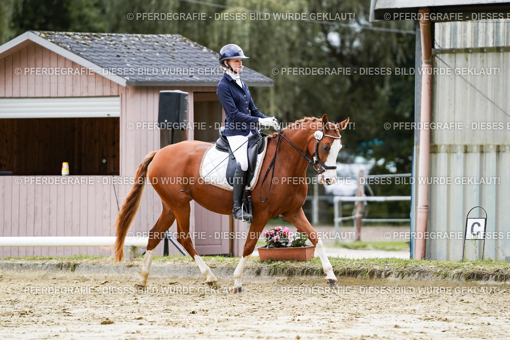 DSC07462 | Pferdegrafie