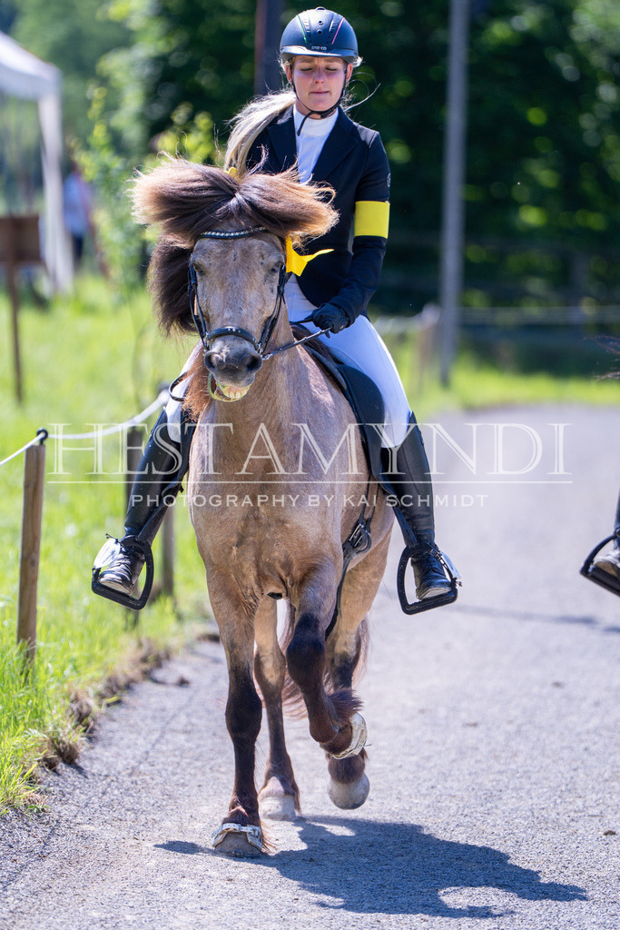 KAI09503 | Ihr sucht einen Fotografen für eure nächste OSI? Ich begleite auch euer Turnier für Islandpferde fotografisch.  - Realisiert mit Pictrs.com