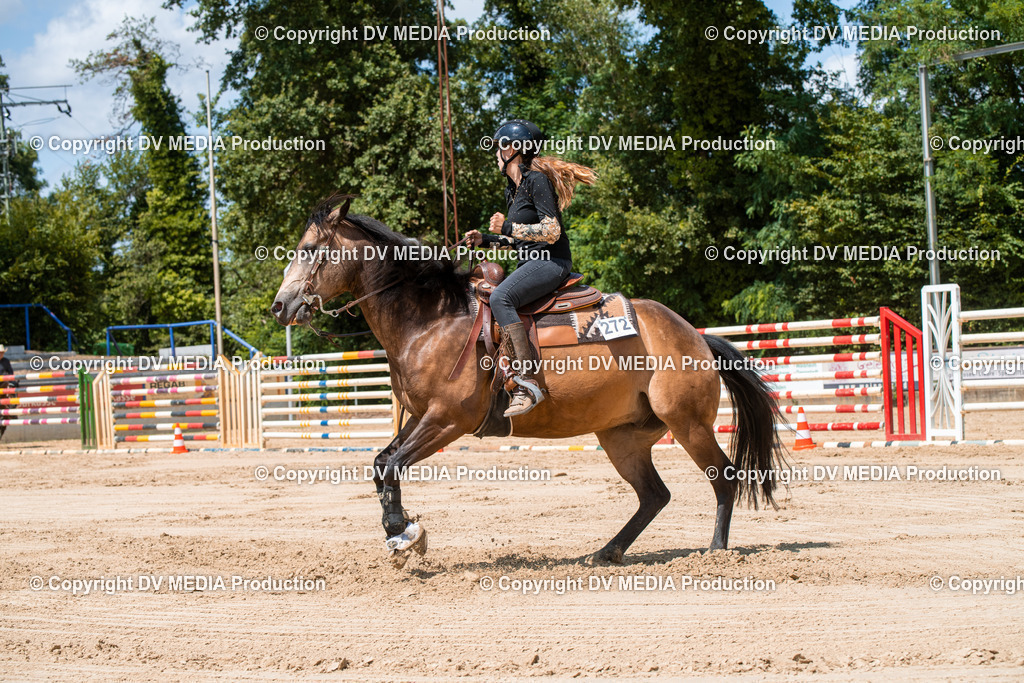 ZS3_9718 | dv-media-shop - Realisiert mit Pictrs.com