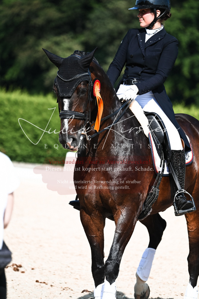 DSC_3420 | Pferde- und Turnierfotografie in Westsachsen. Pferdeportraits, Auftragszeichnungen und intuitive Kunst.