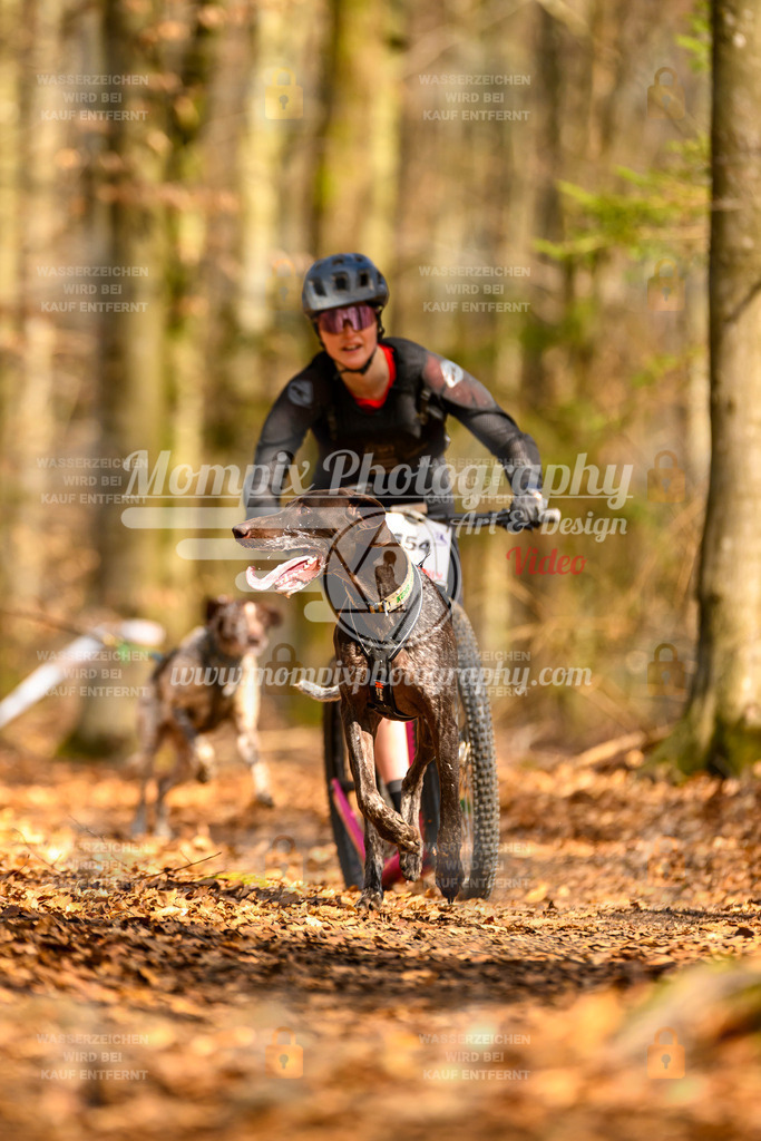 MompixPhotography_Habay2025_SA_SCO-8 | PayLife