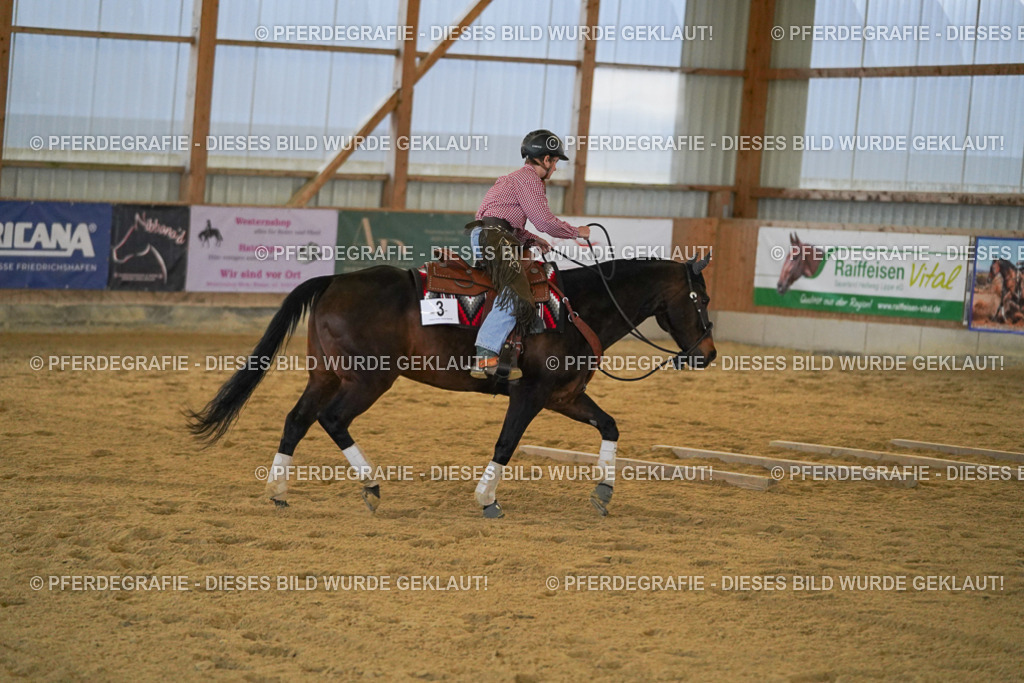 DSC09147 | Pferdegrafie