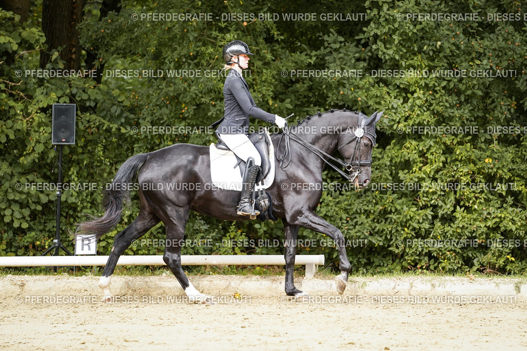 DSC03382 | Pferdegrafie