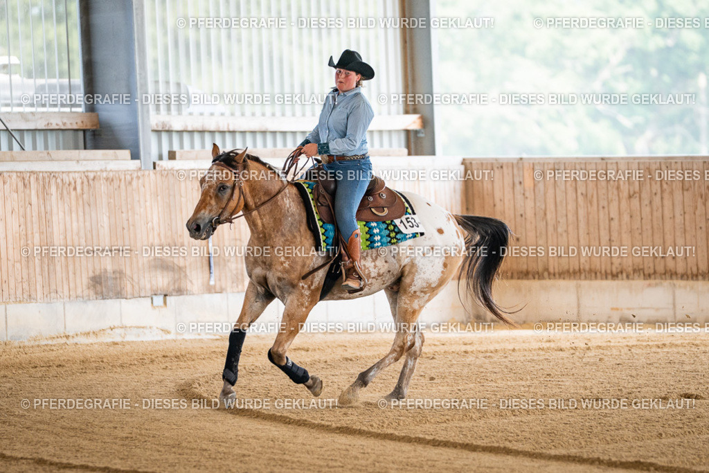 DSC03941 | Pferdegrafie