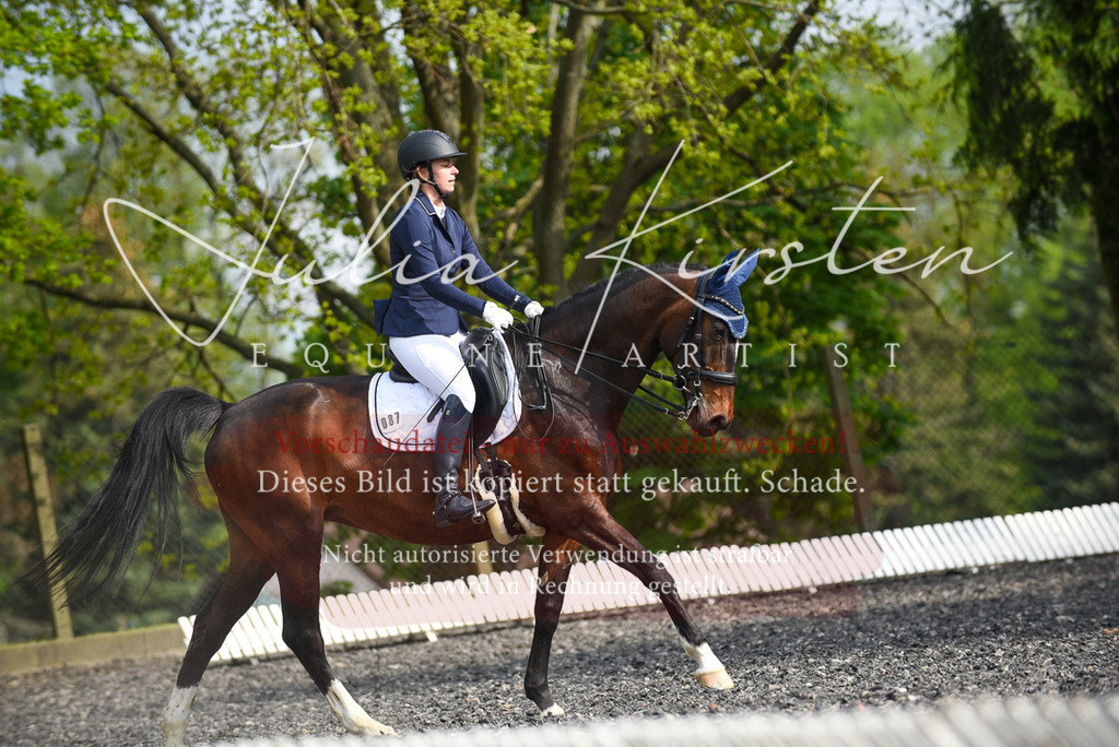 20230513_JK-Röhrsdorf-17-121 | Pferde- und Turnierfotografie in Westsachsen. Pferdeportraits, Auftragszeichnungen und intuitive Kunst.