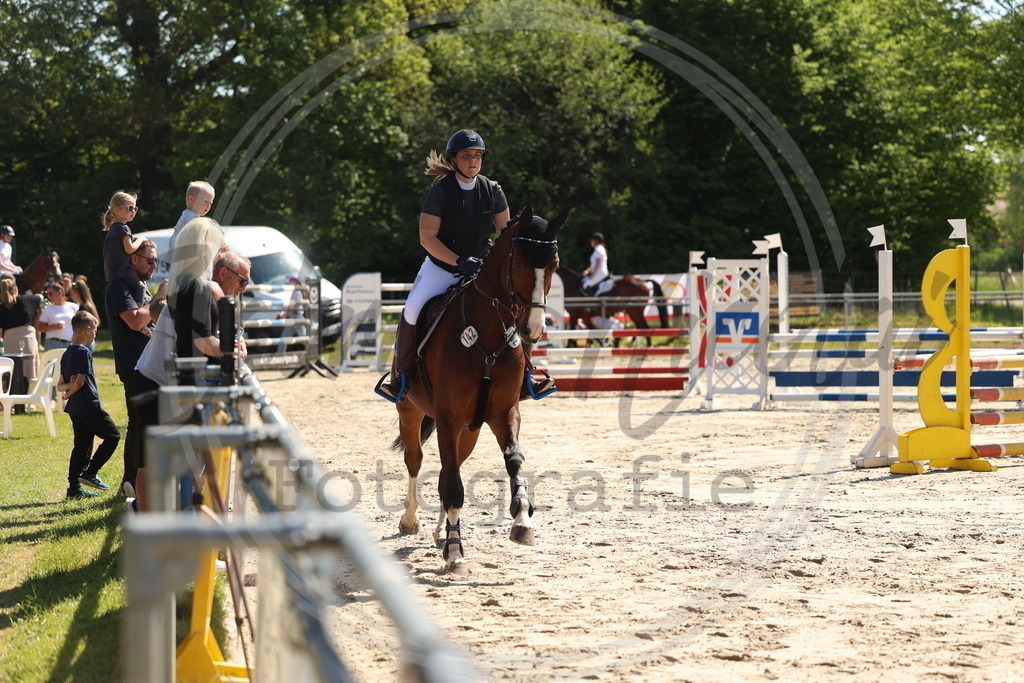 994A5600 | sabrinanicolaifotografie - Realisiert mit Pictrs.com