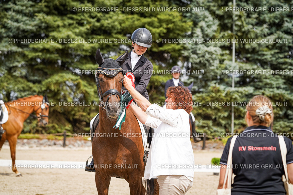 DSC04535 | Pferdegrafie