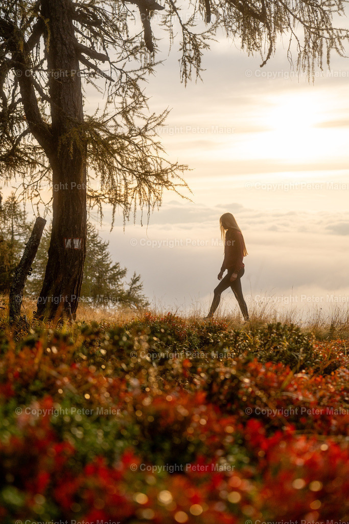 Hochstein_Erlebnisraum_Wald_23_Peter_Maier-61 | piet_flosse