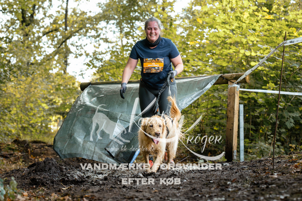 1417DZ6_1485Z6 | kk-dogfotos