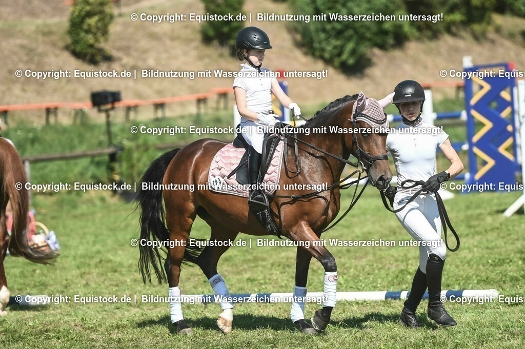 20230910_11-2_Führzügel-WB_0047 | Foto: Thomas Hartig