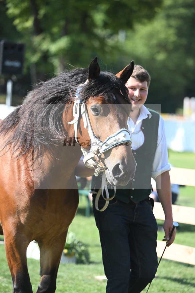 Kat-Nr. 8 Perle_Willand_20230106 | hf-fotografie - Realisiert mit Pictrs.com