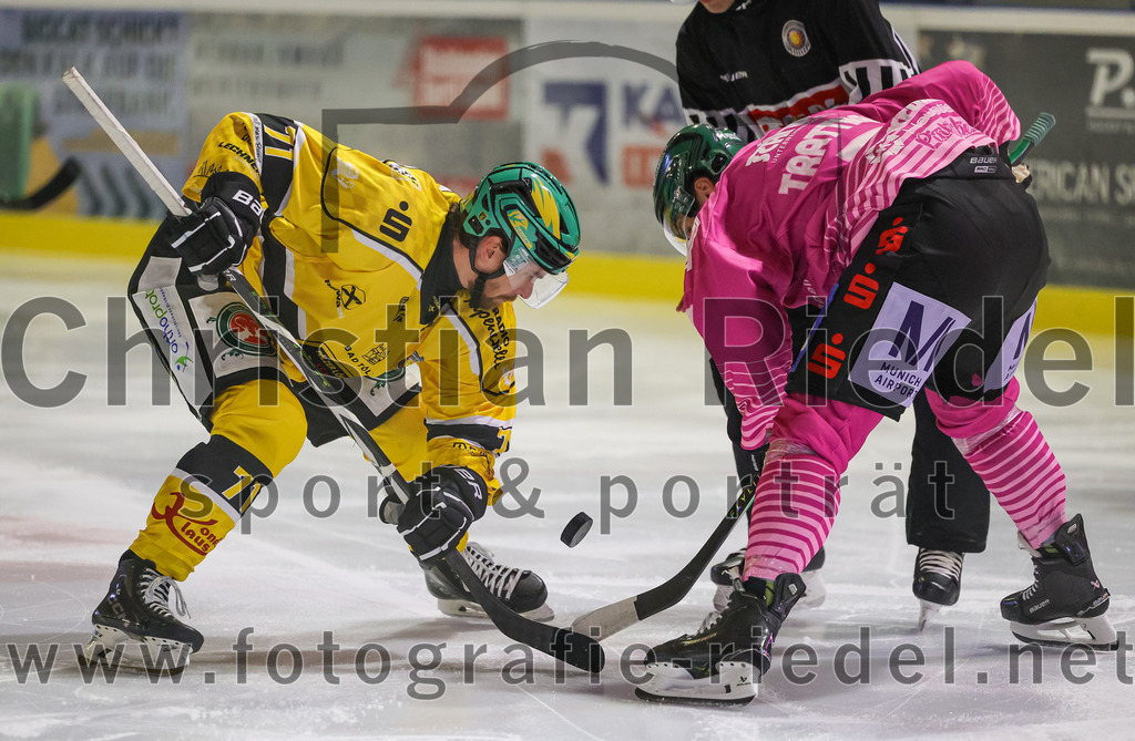 2025-10-28_033_TSV_Erding_gegen_Toelzer_Loewen | Erding, Deutschland, 28.10.2025:Eishockey, Oberliga Süd 2025 / 2026, 13. Spieltag, TSV Erding gegen Tölzer Löwen, Endergebnis: 2:5Michael Keränen (Tölzer Löwen, #71), Louis Trattner (Erding Gladiators, #7)Foto: Christian Riedel / fotografie-riedel.net