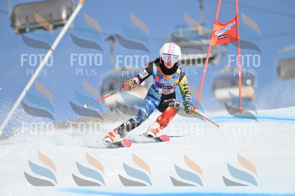 BGV_8589 | holidayphoto