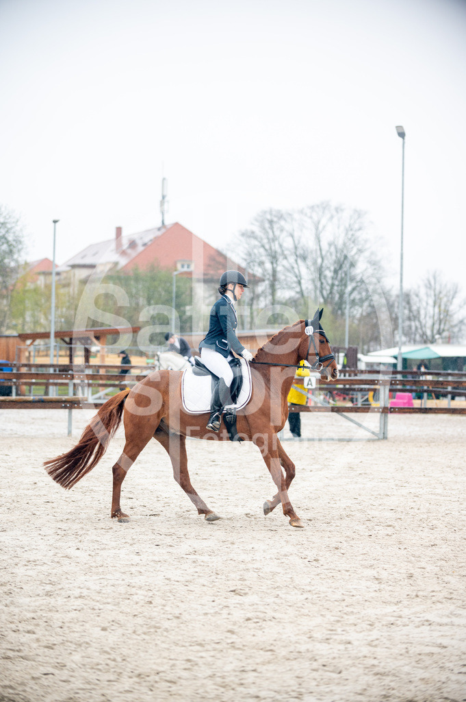 DSC_5438 | sattelsport - Realisiert mit Pictrs.com