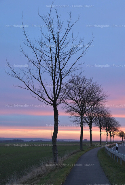 F.Gläser_60_Bornum_06. Dezember 2025 | Naturfotografie Frauke Gläser - Realisiert mit Pictrs.com