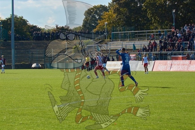 BFC Dynamo vs. FSV Zwickau 071 | mythos-online-redaktion