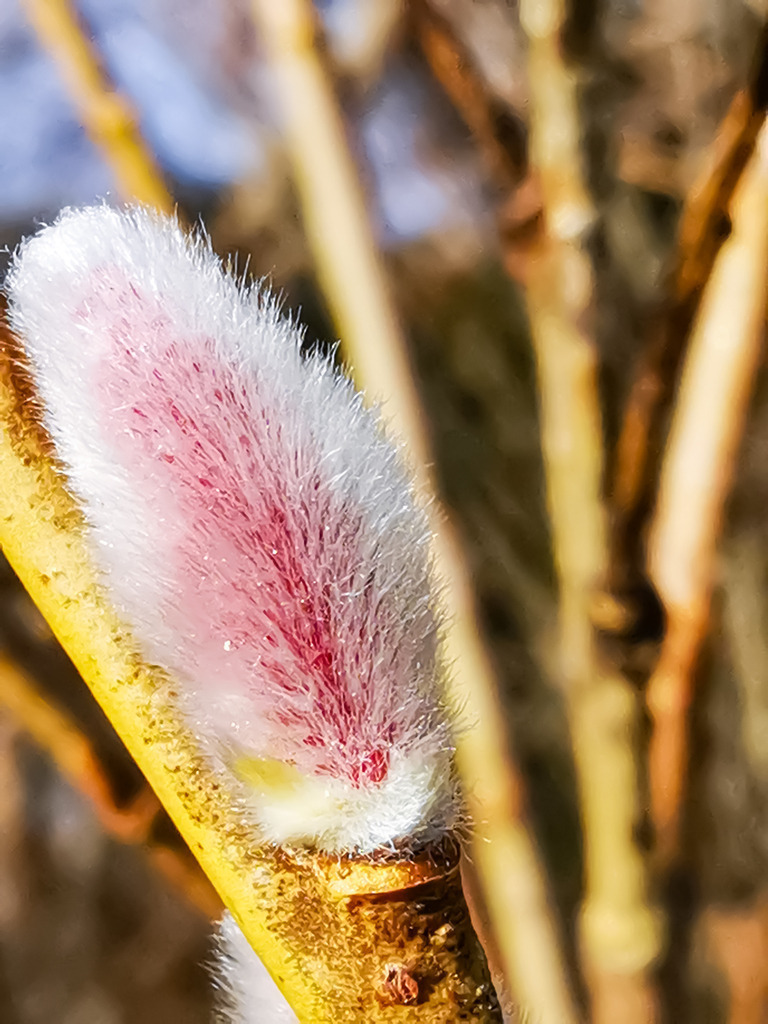 PSX_20230216_224845 | mtkfoto_ - Realisiert mit Pictrs.com