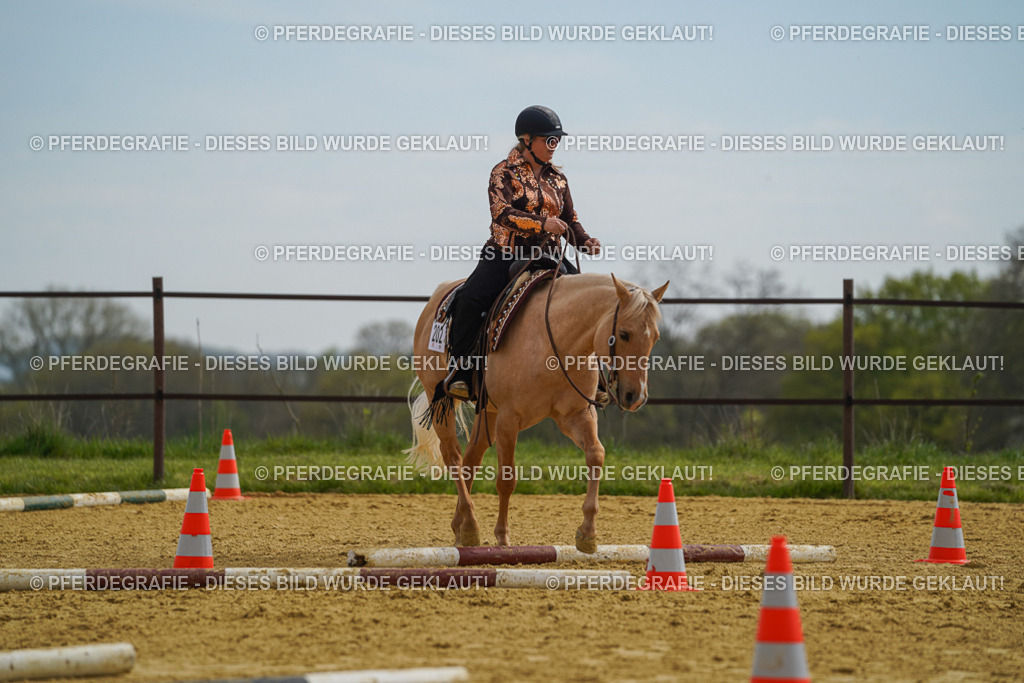 DSC02220 | Pferdegrafie