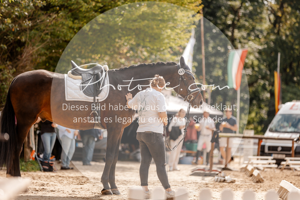 3I6A3532 | Stimmungsvolle Portraits und Reitsportfotografie im Ruhrgebiet und im Münsterland.

Pferdefotografie, Hundefotografie, Tierfotografie, Reportagen, Portraits von Tier und Mensch, Turnierfotografie in Bochum, Recklinghausen, Marl, Haltern am See, Dülmen.. - Realisiert mit Pictrs.com