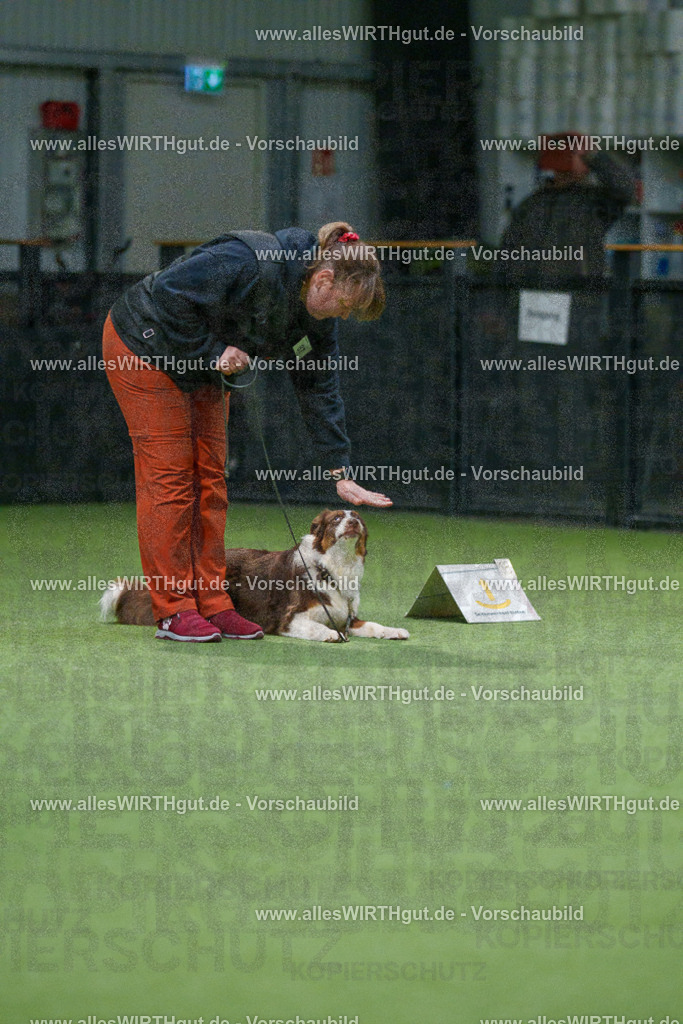 7R508242 | Professionelle Tierfotografie in Mönchengladbach von Daniel Wirth (allesWIRTHgut). Liebevolle & natürliche Bilder von Hunden & Katzen für unvergessliche Erinnerungen.