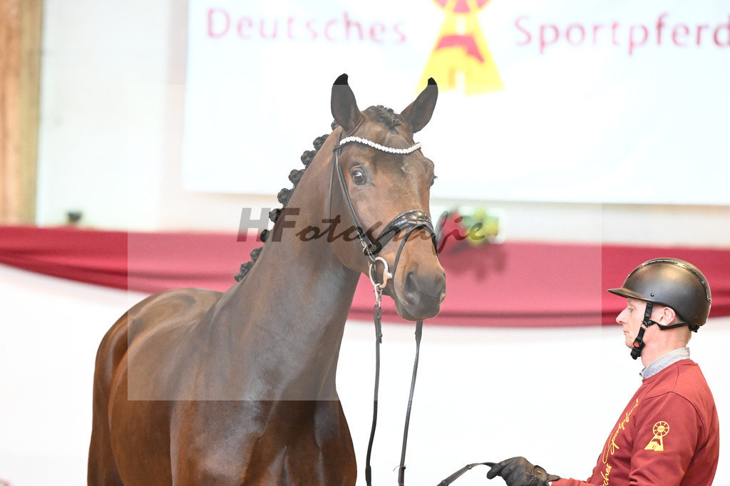 Kat-Nr. 65 So Perfect x Fidertanz_Zissel_43231915 | hf-fotografie - Realisiert mit Pictrs.com