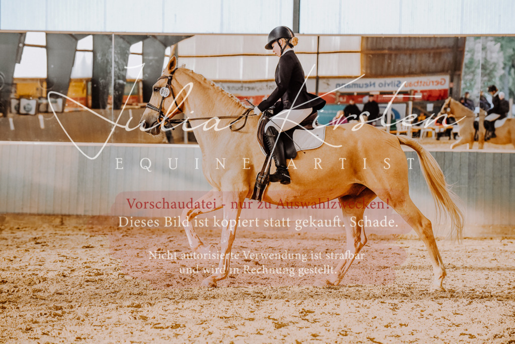 DSC_7670 | Pferde- und Turnierfotografie in Westsachsen. Pferdeportraits, Auftragszeichnungen und intuitive Kunst.