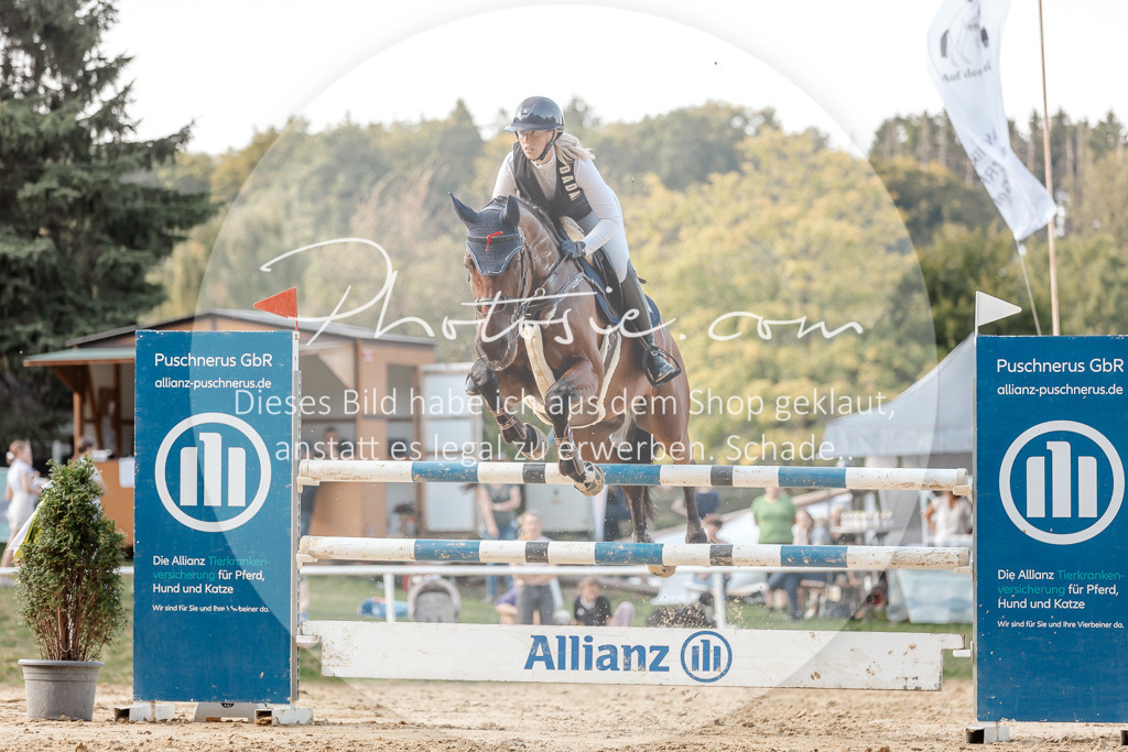 3I6A5205 | Stimmungsvolle Portraits und Reitsportfotografie im Ruhrgebiet und im Münsterland.

Pferdefotografie, Hundefotografie, Tierfotografie, Reportagen, Portraits von Tier und Mensch, Turnierfotografie in Bochum, Recklinghausen, Marl, Haltern am See, Dülmen.. - Realisiert mit Pictrs.com