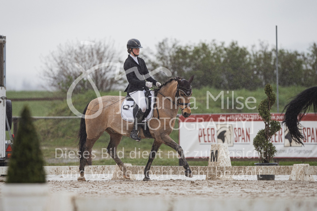 240401_Fruehlingsfest_A1-Dressur-401 | Deine schönsten Turniermomente als professionelle Fotos! Entdecke hochwertige Pferdesport-Fotografie im Online-Shop. Jetzt Fotos finden & bestellen!