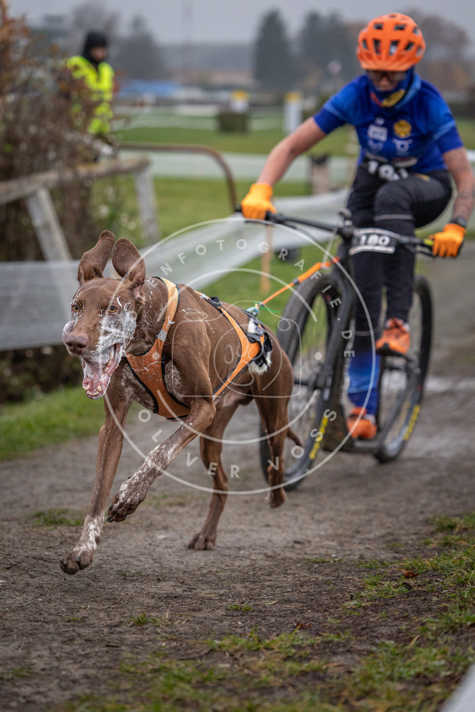 CaniXpix_0L8A0759 | Hundefotografie, Tierfotograf, Pfotenfotografie, Fotoshooting Hund, Hunde Portrait, Hundesport, Hundeportraits, Heideshooting, Hunde, Sportfotograf, Hundefotograf, Turnierhundsport, THS,  - Realisiert mit Pictrs.com