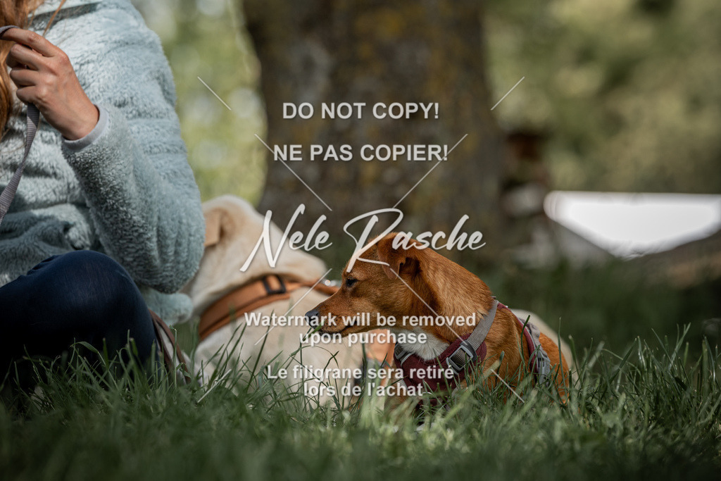 nelerasche_Do-spät_80 | nelerasche