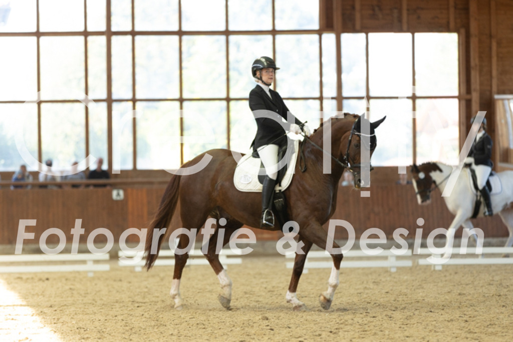 IMG_9263 | Creatify Fotografie