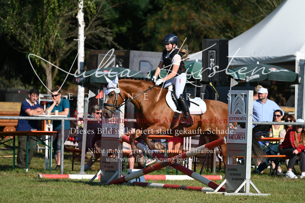 DSC_4978 | Pferde- und Turnierfotografie in Westsachsen. Pferdeportraits, Auftragszeichnungen und intuitive Kunst.