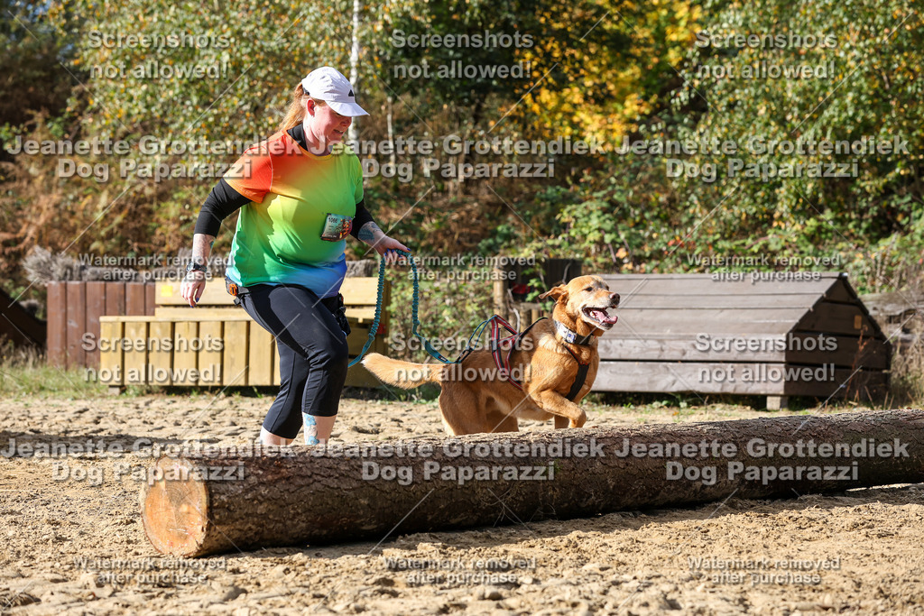 Dog Paparazzi - Strongdog 10-25-5099 | Dog Paparazzi Jeanette Grottendiek Fotografie & Videografie - Realisiert mit Pictrs.com