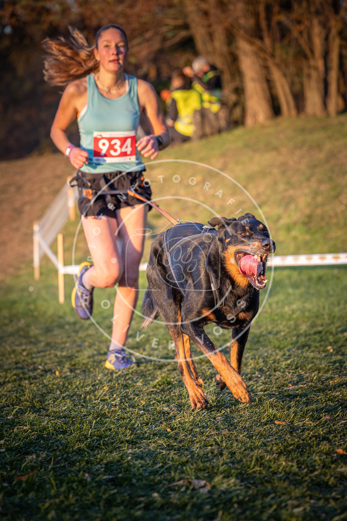 CaniXpix_0L8A1852 | Hundefotografie, Tierfotograf, Pfotenfotografie, Fotoshooting Hund, Hunde Portrait, Hundesport, Hundeportraits, Heideshooting, Hunde, Sportfotograf, Hundefotograf, Turnierhundsport, THS,  - Realisiert mit Pictrs.com