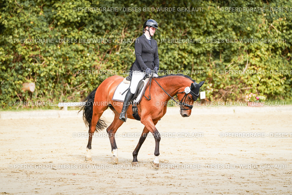 DSC01600 | Pferdegrafie