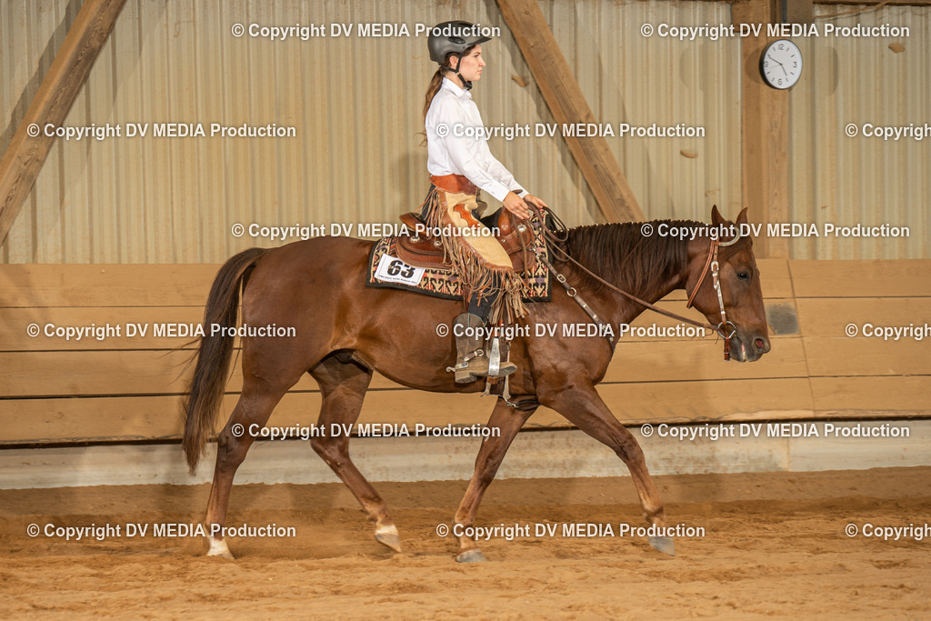 NID03667 | dv-media-shop - Realisiert mit Pictrs.com