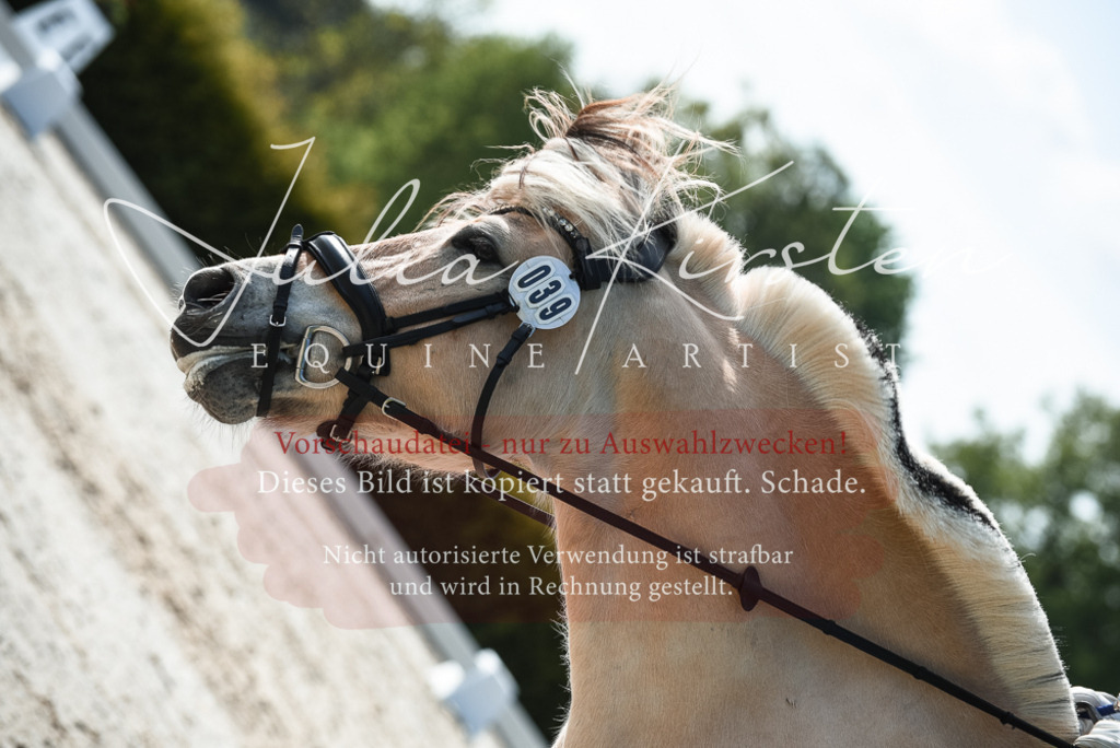 20230518_JK-Röhrsdorf-09-1126 | Pferde- und Turnierfotografie in Westsachsen. Pferdeportraits, Auftragszeichnungen und intuitive Kunst.